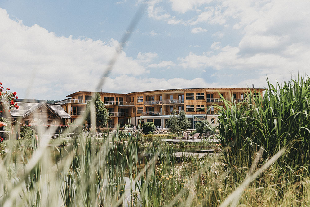 Molzi Frühlings-Workshop